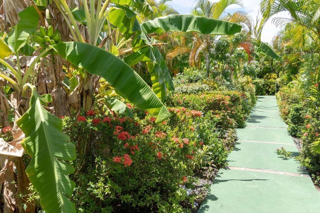 Perle Des Caraibes , Bungalow Moderne N° 14 ル・ゴジエ エクステリア 写真