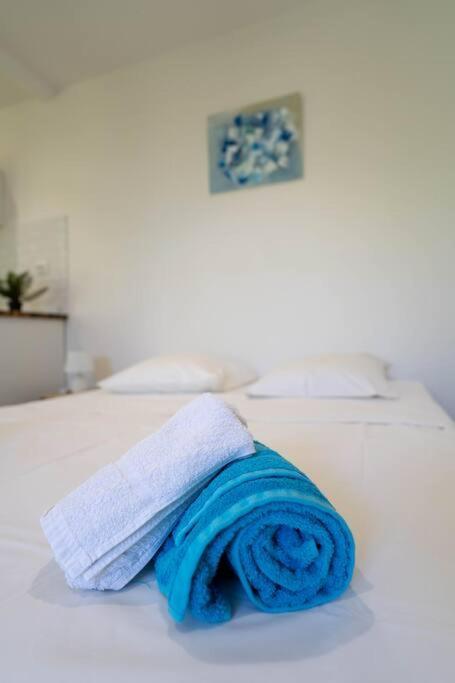 Perle Des Caraibes , Bungalow Moderne N° 14 ル・ゴジエ エクステリア 写真